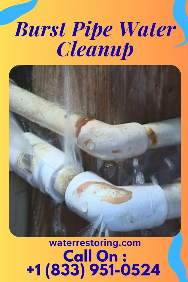 Burst Pipe Water Cleanup in Ben Avon, PA