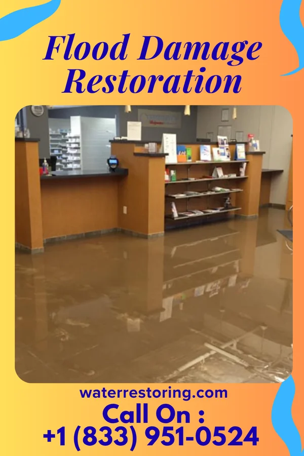 Flood Damage Restoration in Ben Avon, PA