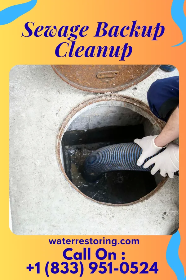 Sewage Backup Cleanup in Ben Avon, PA