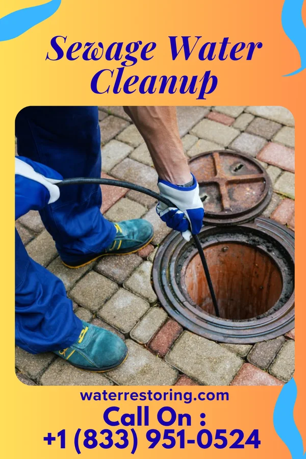 Sewage Water Cleanup in Ben Avon, PA
