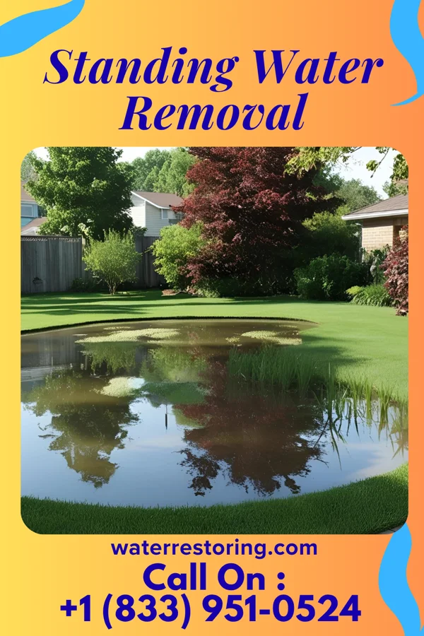 Standing Water Removal in Ben Avon, PA